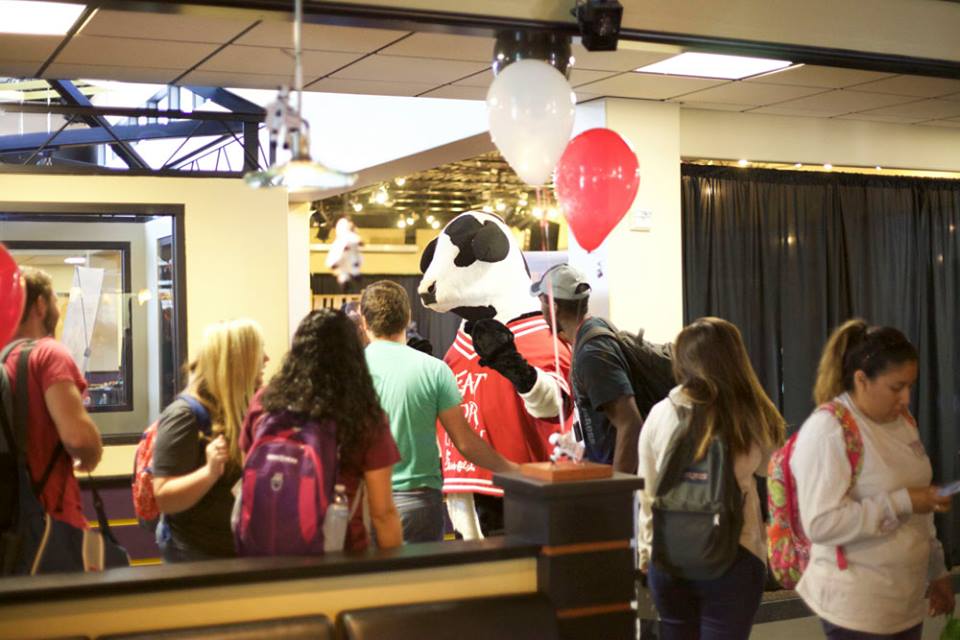 Cow Makes Appearance in Barnes Student Center