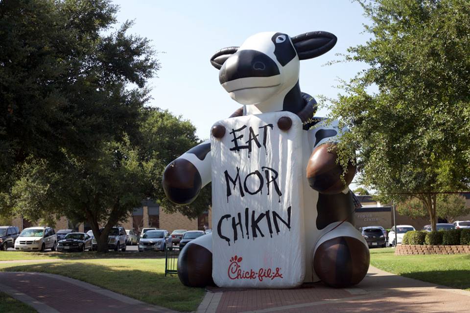 Giant Inflatable Cow Encourages Chicken Consumption