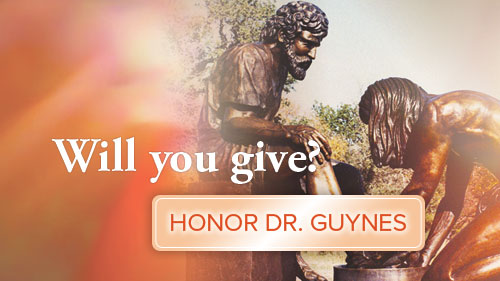 Give towards the Guynes statue